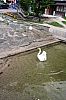 IMG_3441.JPG
